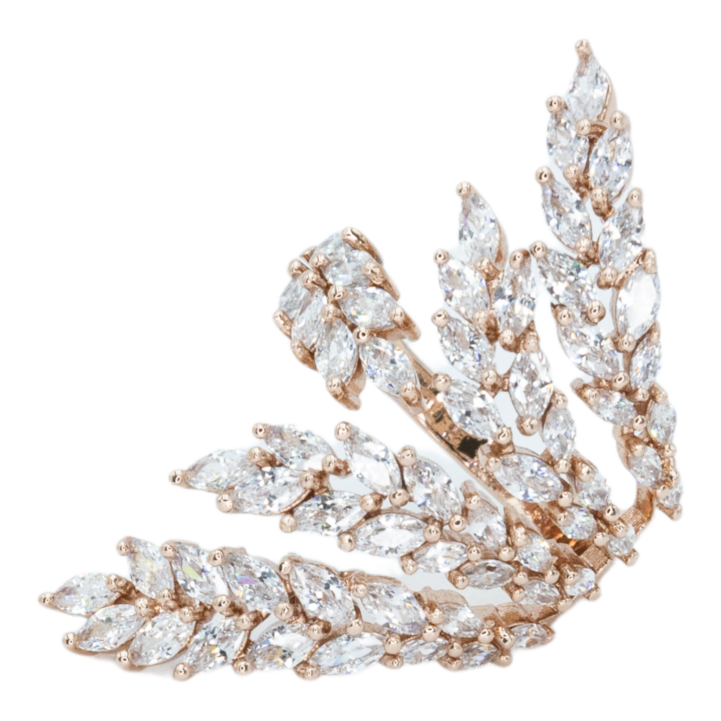 Fanfare | Ring