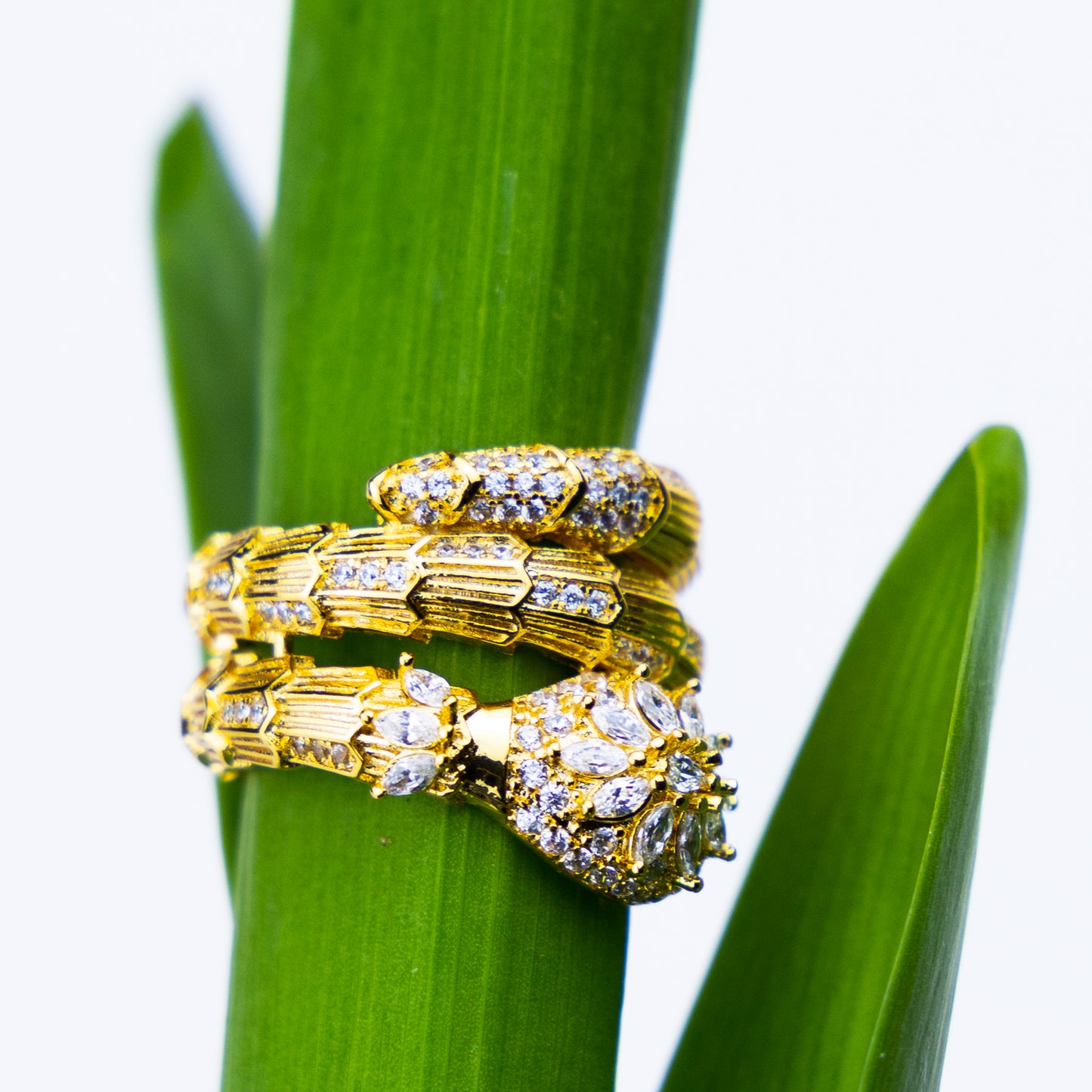 Rattler Ring