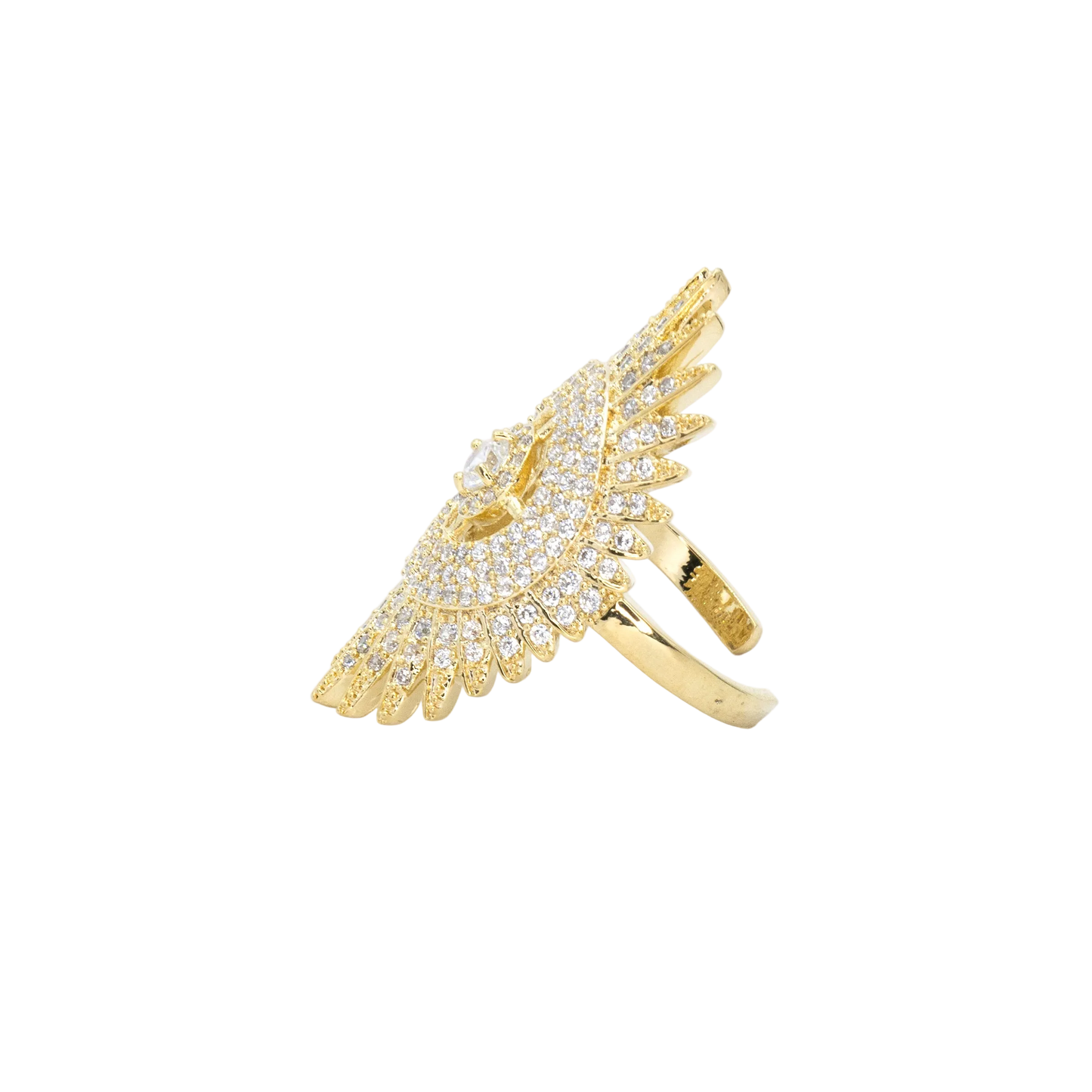 Enlightenment | Ring