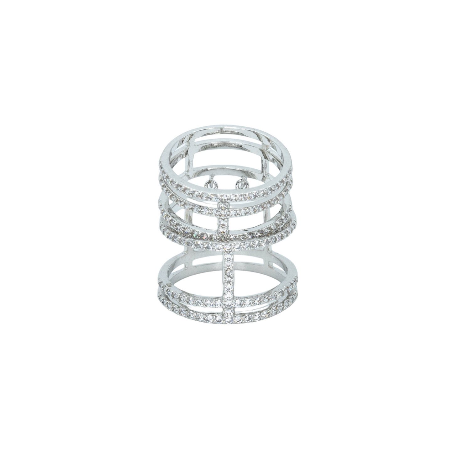 Double cage ring