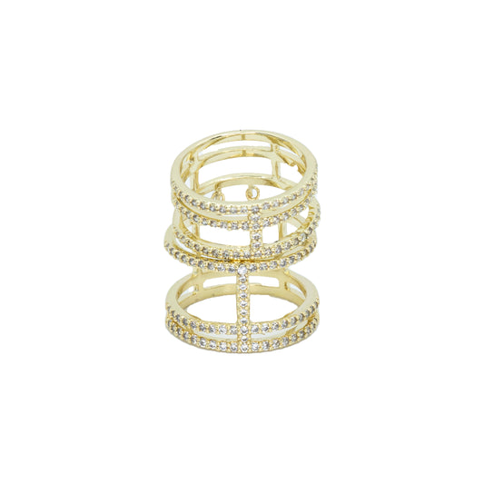 Double cage ring